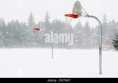 Coperte di neve outdoor pallacanestro ceste in una tempesta di neve. Haines Alaska Foto Stock