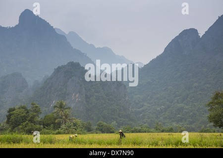 Gli agricoltori lavorano la terra nella campagna attorno a Vang Vieng, Laos Foto Stock