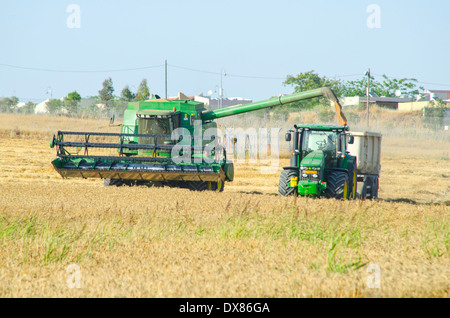 Mietitrebbia John Deere Harvester mietitura del frumento close up Foto Stock