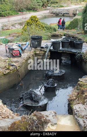 Limo fuori di dragaggio stagni ornamentali a RHS Wisley Gardens, Surrey, Inghilterra Foto Stock