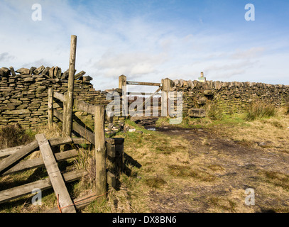 Opinioni su Longridge cadde nella foresta di Bowland Foto Stock