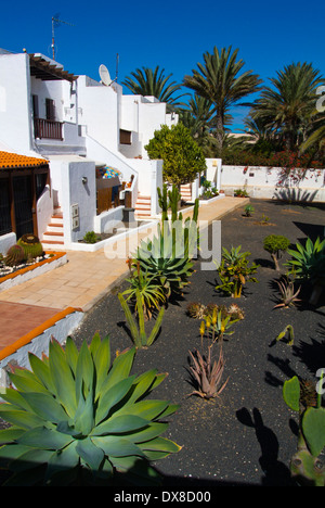 Alloggi per vacanze in Galera Spiaggia Corralejo, Fuerteventura, Isole Canarie, Spagna, Europa Foto Stock