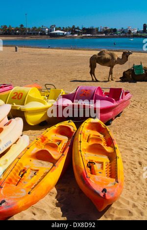 La Playa El Castilo spiaggia principale, a Caleta de Fuste, Fuerteventura, Isole Canarie, Spagna, Europa Foto Stock