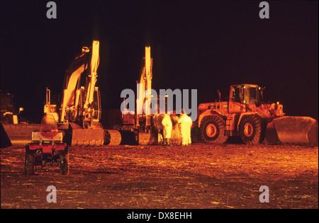 Incenerimento dei selvaggi footed bestie, di bovini e di ovini, sospettato di avere l'afta epizootica, Cumbria, Regno Unito Foto Stock