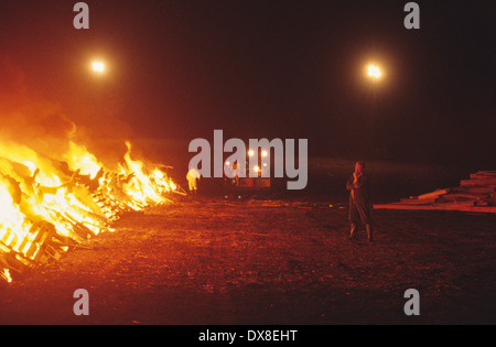 Incenerimento dei selvaggi footed bestie, di bovini e di ovini, sospettato di avere l'afta epizootica, Cumbria, Regno Unito Foto Stock