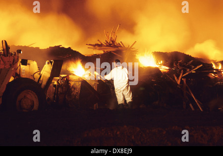 Incenerimento dei selvaggi footed bestie, di bovini e di ovini, sospettato di avere l'afta epizootica, Cumbria, Regno Unito Foto Stock