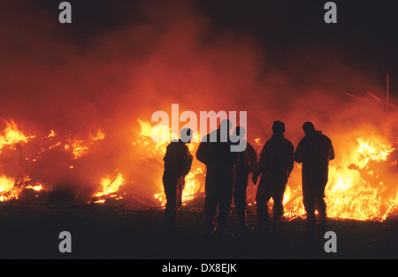 Incenerimento dei selvaggi footed bestie, di bovini e di ovini, sospettato di avere l'afta epizootica, Cumbria, Regno Unito Foto Stock