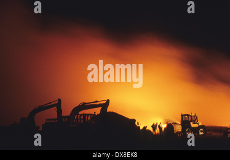 Incenerimento dei selvaggi footed bestie, di bovini e di ovini, sospettato di avere l'afta epizootica, Cumbria, Regno Unito Foto Stock