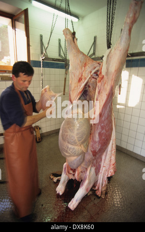 Butcher macelleria mucca organico. Il villaggio locale di persone di conoscere la mucca che sta andando a mangiare prima di esso è ucciso. Svizzera Foto Stock