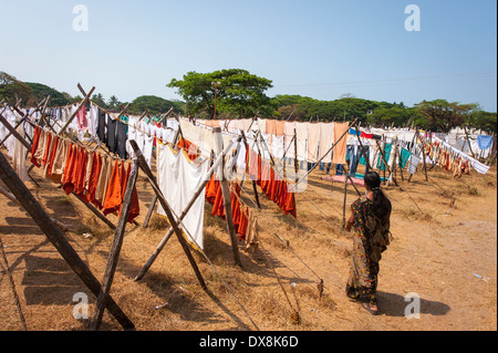 Sud Sud dell India Kerala Fort Cochin Kochi Veli Dhobi Dhobis Khana cooperativa tradizionale servizio di lavanderia lavoratori pezzo Foto Stock