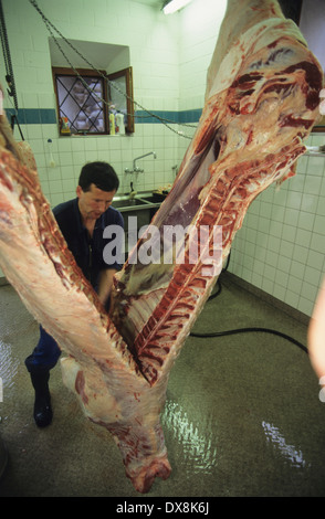 Butcher macelleria mucca organico. Il villaggio locale di persone di conoscere la mucca che sta andando a mangiare prima di esso è ucciso. Svizzera Foto Stock