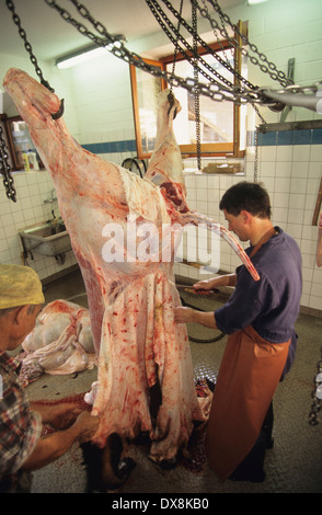 Butcher macelleria mucca organico. Villaggio locale di persone di conoscere la mucca che sta andando a mangiare prima di esso è ucciso. Svizzera Foto Stock