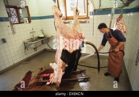 Butcher macelleria mucca organico. Il villaggio locale di persone di conoscere la mucca che sta andando a mangiare prima di esso è ucciso. Svizzera Foto Stock