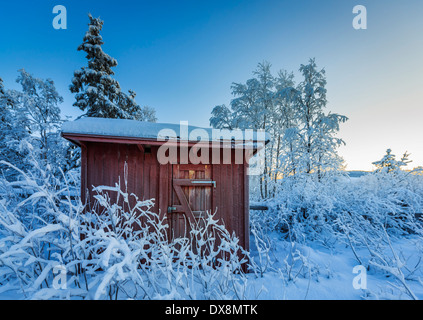 Coperta di neve alberi a temperature estremamente basse, Lapponia, Svezia Foto Stock