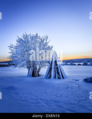 Legno impilati e una coperta di neve albero a temperature estremamente basse, Lapponia, Svezia Foto Stock