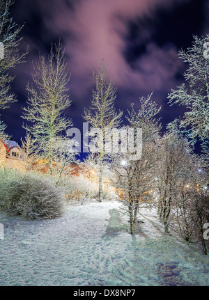 Coperta di neve alberi in Reykjavik, Islanda Foto Stock