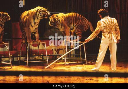 Artisti del circo, grande gatti le tigri del Bengala, Spagna Foto Stock