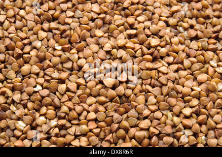 Molti chicchi di grano saraceno macro close up sullo sfondo Foto Stock