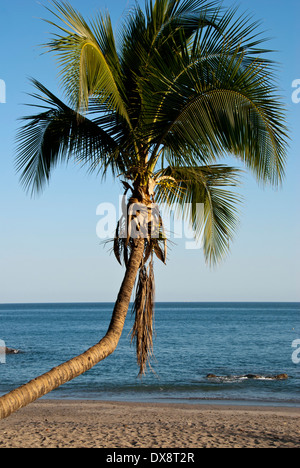 Montezuma beach. Nicoya peninsula.costa del Pacifico.Costa Rica. America centrale. Foto Stock