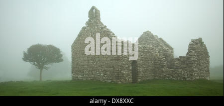 Una Rovina del XII secolo chiesa medievale di gallina Lligwy Gapel, vicino al borgo antico di Din Lligwy vicino Moelfre sull'isola o Foto Stock