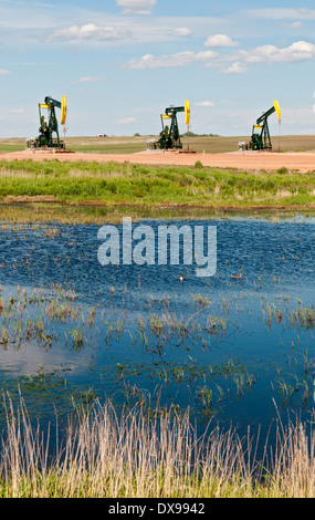 Il Dakota del Nord, Williston Basin, Bakken, olio di scisto formazione Regione, olio ben pumpjacks, anatre in zona umida Foto Stock