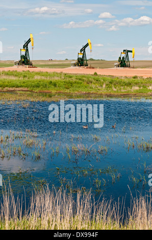 Il Dakota del Nord, Williston Basin, Bakken, olio di scisto formazione Regione, olio ben pumpjacks, anatre in zona umida Foto Stock