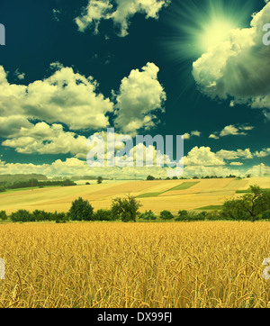 Paesaggio autunnale con campo di grano e sunny blue sky. campagna. in stile retrò foto Foto Stock