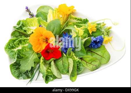 Fresca insalata verde con giardino commestibili fiori isolati su sfondo bianco. cibo sano Foto Stock
