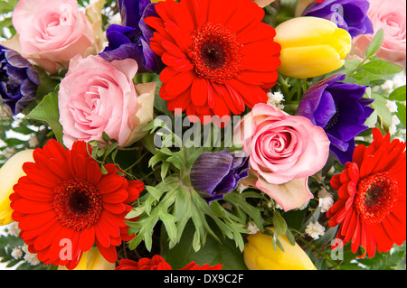 Primo piano della molla colorati bouquet di fiori. le rose rosa, rosso gerbera, Tulipani gialli, blu anemone Foto Stock