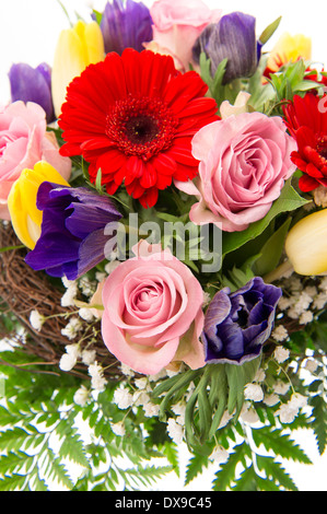 Bouquet di rose rosa con un fresco e coloratissimi fiori di primavera rosso gerbera, Tulipani gialli, blu anemone Foto Stock
