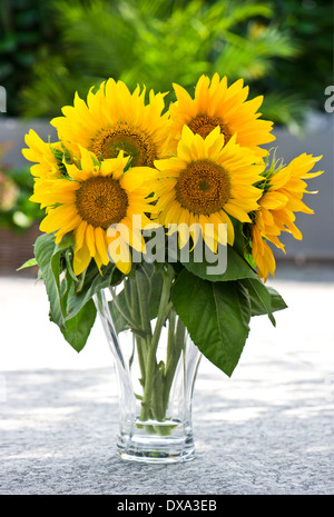 Girasoli in un vetro trasparente vaso sulla natura sfondo verde Foto Stock