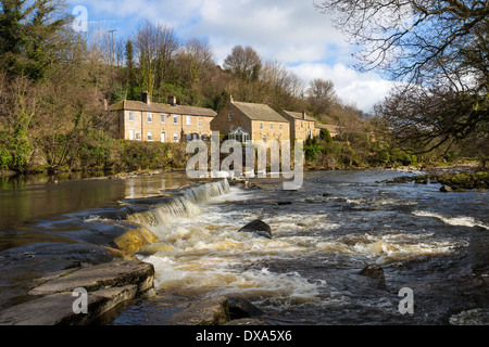 Il Fiume Tees e mulino Demesnes Barnard Castle County Durham Regno Unito Foto Stock