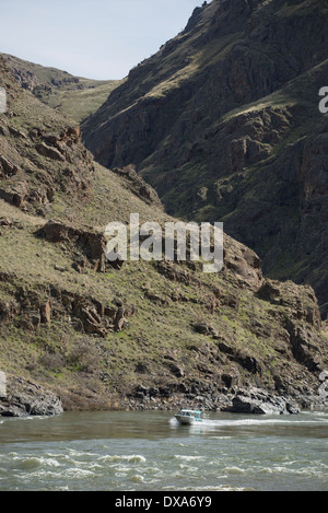 Il recapito dei messaggi di posta jet boat sul fiume Snake in Hells Canyon all'Idaho/Confine di Oregon. Foto Stock