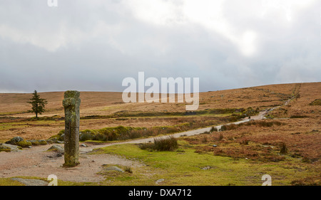 Le monache Cross o Siward's Cross nel Parco Nazionale di Dartmoor Devon in corrispondenza del punto di giunzione fra gli abati' way e i monaci' percorso Foto Stock