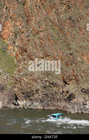 Il recapito dei messaggi di posta jet boat sul fiume Snake in Hells Canyon all'Idaho/Confine di Oregon. Foto Stock