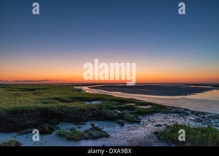 La Palude Salata pozze di marea a bassa marea, barca Prato Beach, Eastham, Cape Cod, Massachusetts, STATI UNITI D'AMERICA Foto Stock