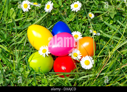 Colorate le uova di pasqua con fiori a margherita sul prato in erba Foto Stock