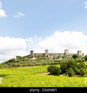 Monteriggioni, Regione Toscana, Italia. Vigneto di fronte le antiche mura medievali Foto Stock