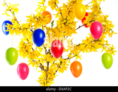 Coltivazione di fiori colorati e uova di pasqua festosa decorazione ad albero Foto Stock