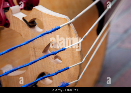 Close up di stringhe sul contrabbasso Foto Stock