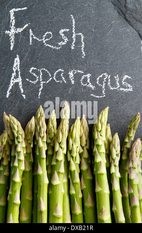 Freschi di punte di asparagi verdi contro lo sfondo di ardesia, REGNO UNITO Foto Stock