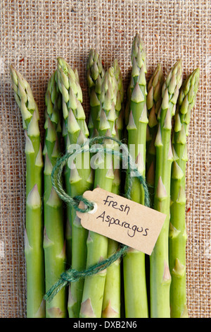 Un grappolo spargolo freschi Asparagi verdi lance contro un rustico, vintage panno di Hesse sfondo, REGNO UNITO Foto Stock