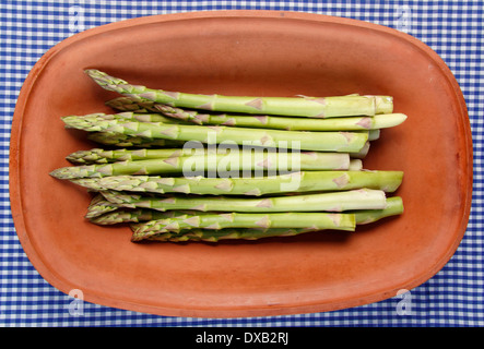 Un grappolo spargolo freschi Asparagi verdi spears in un rustico di terracotta piatto di argilla contro un vintage blue & white gingham panno, REGNO UNITO Foto Stock