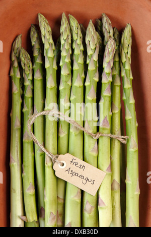 Un grappolo spargolo freschi Asparagi verdi spears in un rustico di terracotta piatto di argilla in una casa britannica, REGNO UNITO Foto Stock