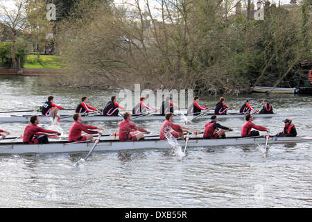 Il fiume Tamigi a Hampton Court, SW LONDRA, REGNO UNITO. Il 22 marzo 2014. Due uomo otto equipaggi in lotta per la leadership durante il Kingston testa della gara di fiume. Oltre 200 equipaggi erano in lizza nella manifestazione annuale che copre 3 miglia del Fiume Tamigi tra il Palazzo di Hampton Court e Kingston club di canottaggio. Gli equipaggi tutti dal Sud Est dell' Inghilterra gareggiato è diverse classi tra cui otto, Fours, skiff e vogatori, con Senior, Junior, Mens e Womens squadre. I risultati non sono ancora disponibili. Credito: Julia Gavin/Alamy Live News Foto Stock