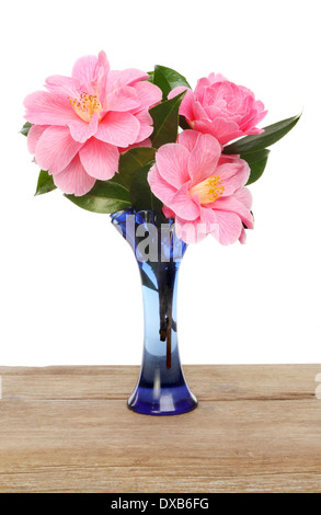 Disposizione di camellia fiori e fogliame in blu di un vaso di vetro su una tavola in legno rustico Foto Stock