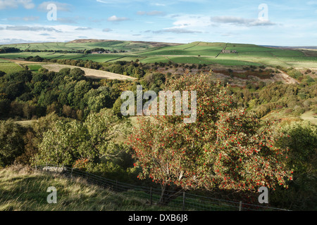 Vista su Bretton Clough a bassa Abney, Parco Nazionale di Peak District, Derbyshire Foto Stock