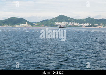 Il paesaggio costiero in Corea del Sud con edifici, montagne e lunga linea ostricoltura come visto dal mare Foto Stock