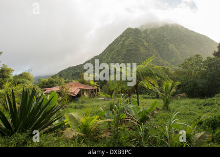 La felce e ricreazione e azienda agricola nella parte anteriore del vulcano appartenenti al Pitons du Carbet, Martinica, French West Indies Foto Stock