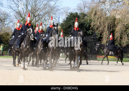 Uso domestico calvario a Horseguards Parade London Inghilterra England Foto Stock